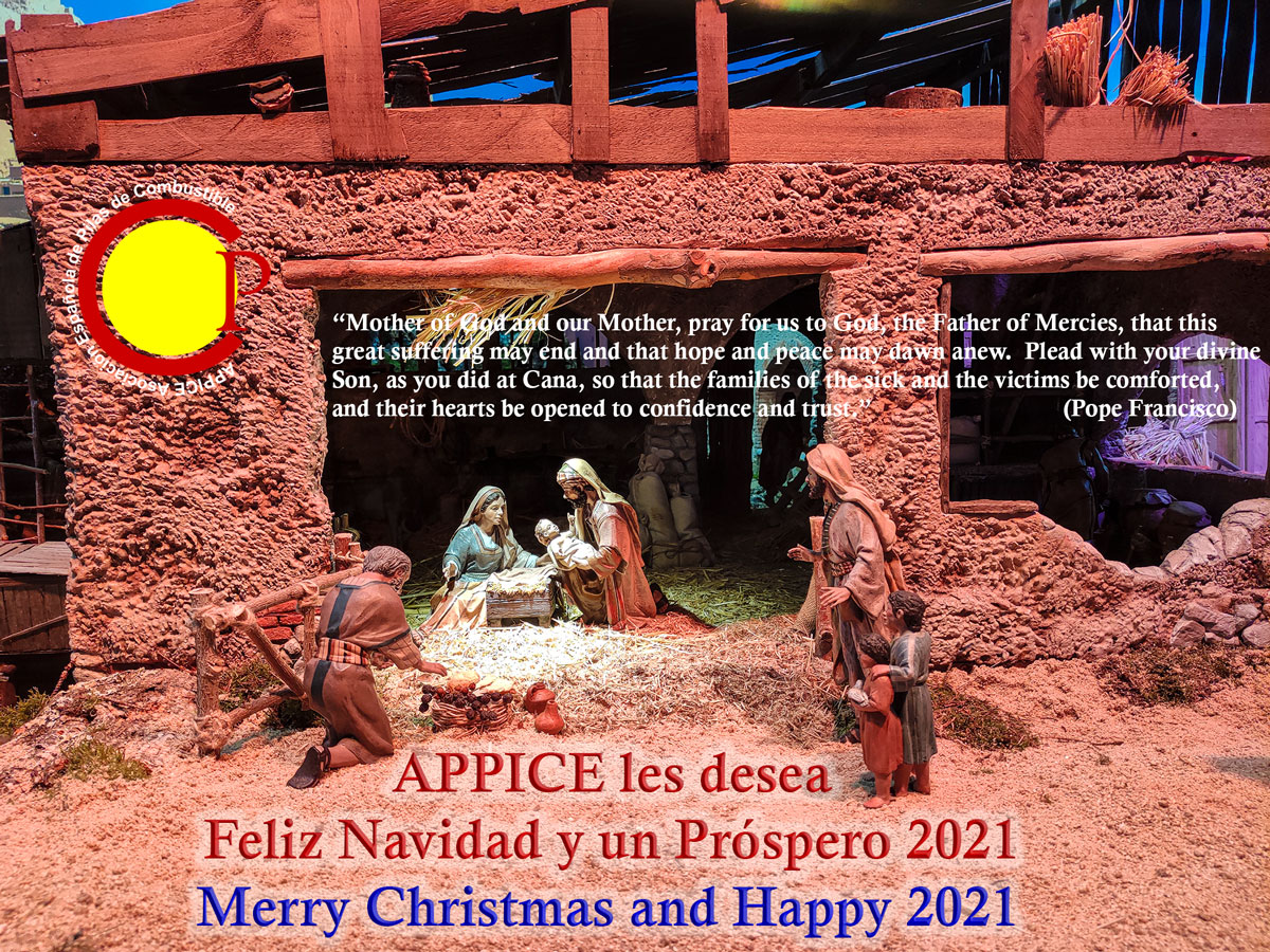 Felicitacion-Navidad-EN-2020 Christmas Greeting 2020